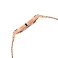 ZEGAREK DAMSKI DANIEL WELLINGTON DW00100305 - PETITE MELROSE 36mm