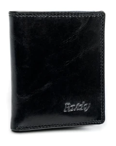 Skórzany portfel etui na karty i dokumenty Rovicky®RFID N1909-RVTK RED