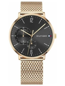 Zegarek męski  TOMMY HILFIGER BROOKLYN 1791505