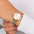 ZEGAREK DAMSKI TOMMY HILFIGER 1782699 Demi