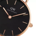 ZEGAREK DAMSKI DANIEL WELLINGTON DW00100303 - PETITE MELROSE 36mm