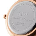 ZEGAREK DAMSKI DANIEL WELLINGTON DW00100303 - PETITE MELROSE 36mm
