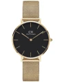 ZEGAREK DAMSKI DANIEL WELLINGTON DW00100347 - PETITE EVERGOLD 32mm