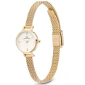 ZEGAREK DAMSKI DANIEL WELLINGTON Petite Mini Gold Stainless Steel 19mm DW00100745